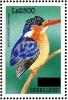Colnect-3561-478-Malachite-Kingfisher-nbsp--nbsp--nbsp--nbsp-Corythornis-cristatus.jpg