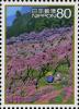 Colnect-4067-219-Peach-Blossom---Fuefuki-Yamanashi-Prefecture.jpg