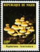 Colnect-1008-713-Mushrooms---Hypholoma-fasciculare.jpg